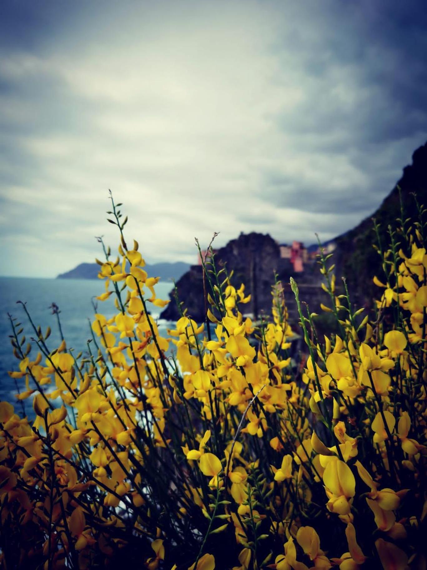 La Rosa Dei Venti Monterosso al Mare Exterior foto